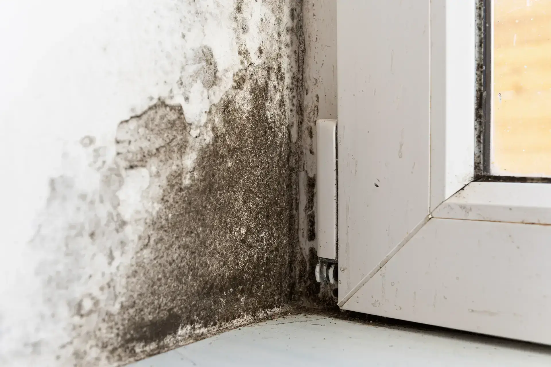 Leading Water Damage Restoration Company in Omaha — Omaha, NE