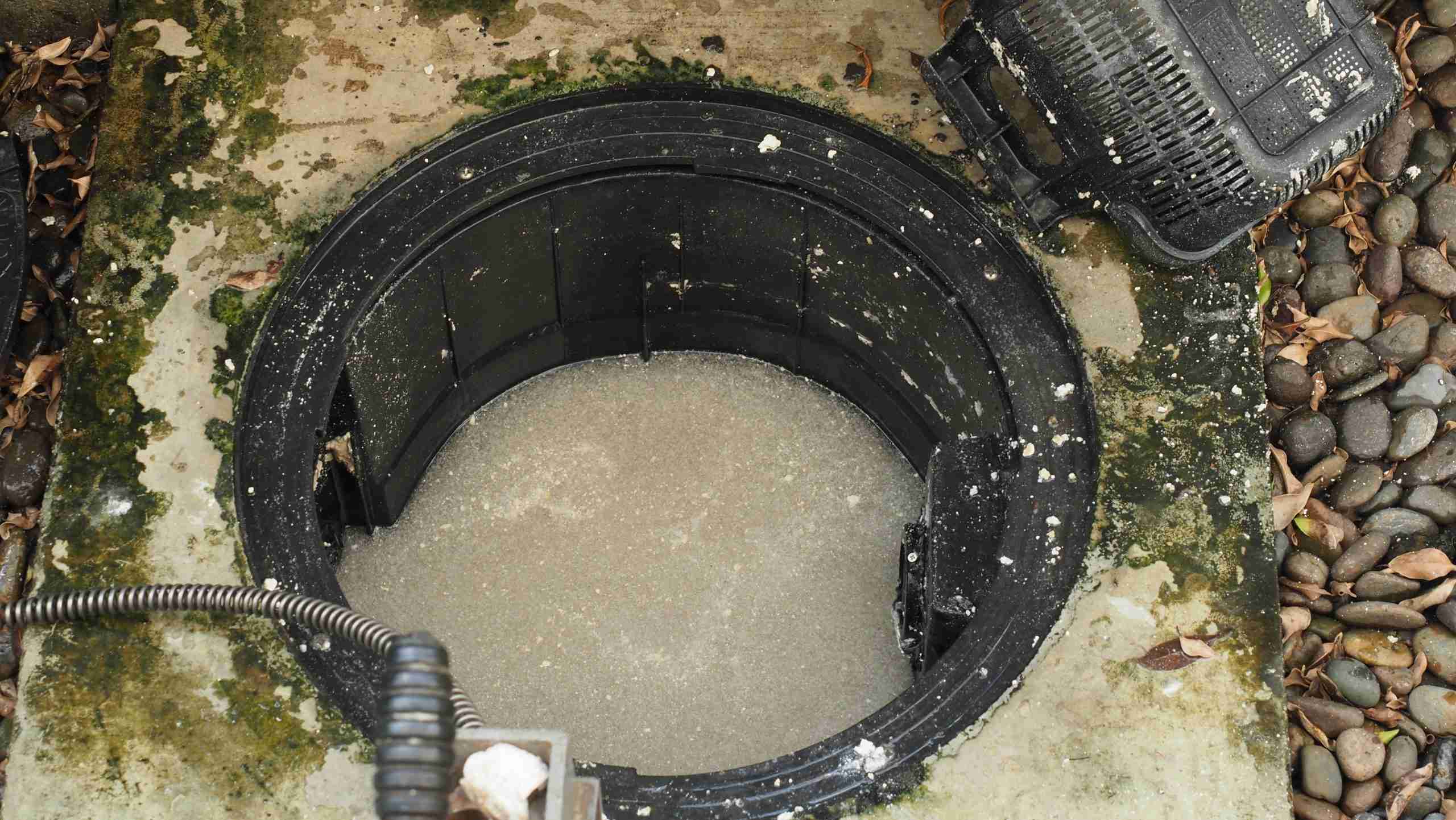 Bellevue — water damage restoration